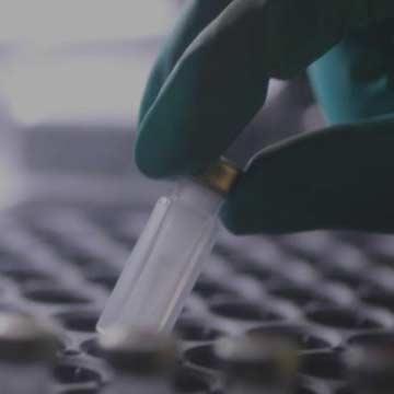Master's Degree at training Permanent at design Galenic and Manufacturing in the Pharmaceutical Industry
