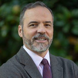 D. Eduardo Flandes Aldeyturriaga