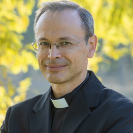 Milán Fitera, Fernando